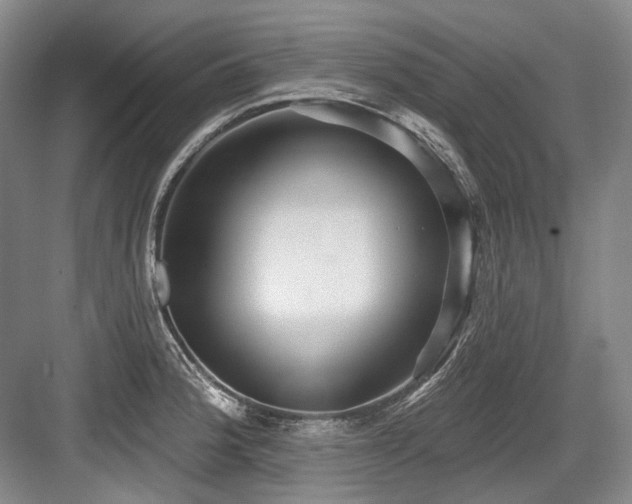 X0000084021188200702161220