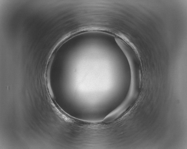 X0000084021189200702161220