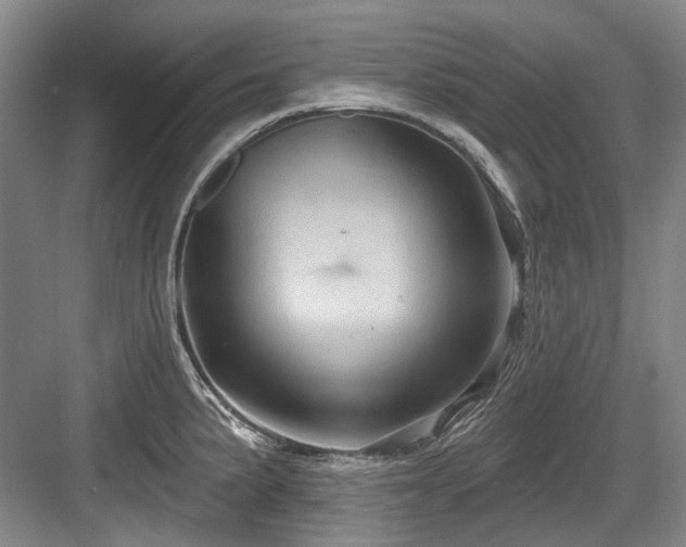 X0000084021191200702161219