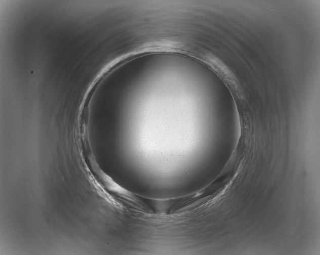 X0000084021192200702161219