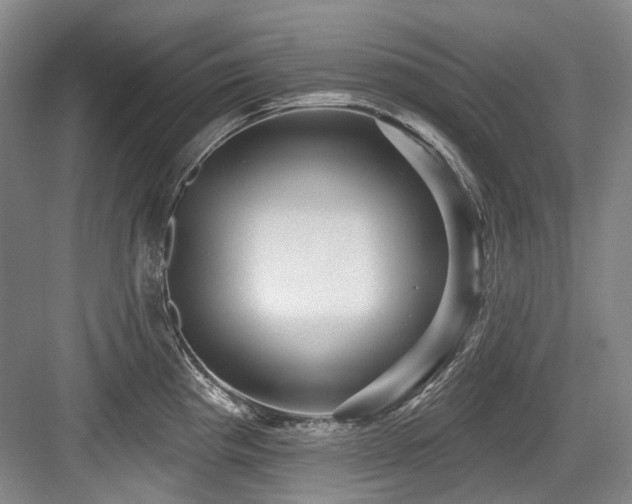 X0000084021193200702161219