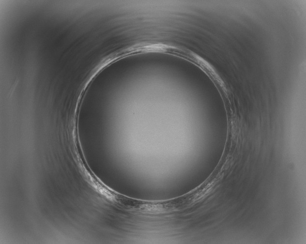 X0000084021194200702161219