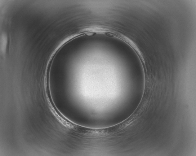 X0000084021195200702161219