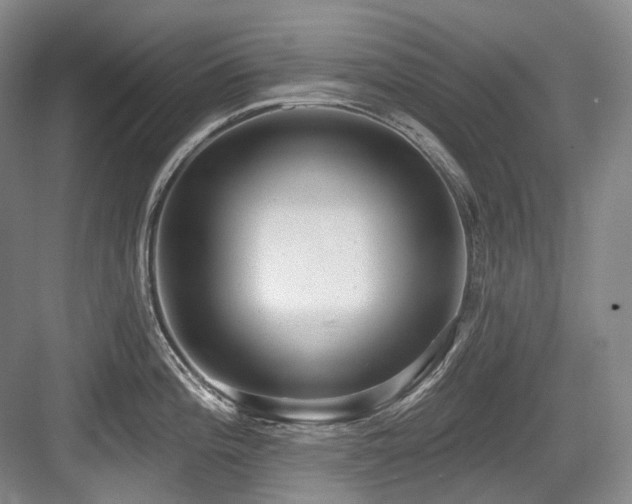 X0000084021196200702161219