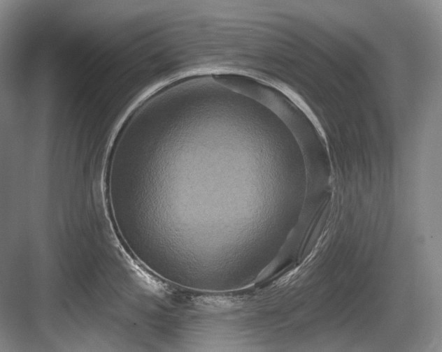 X0000084021197200702161219