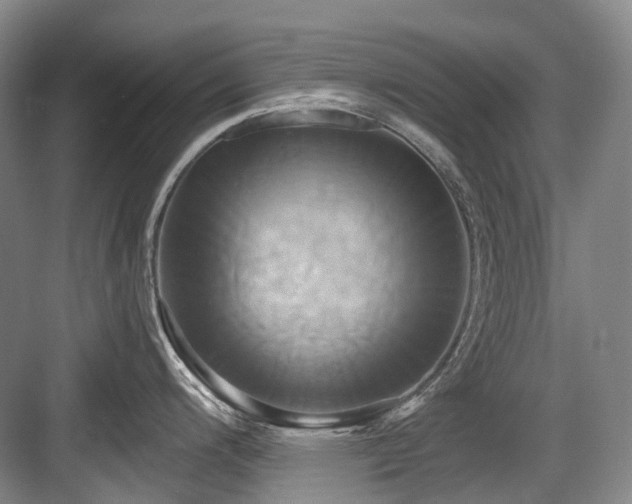 X0000084021200200702161219