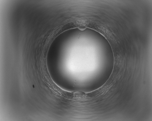 X0000084021201200702161219