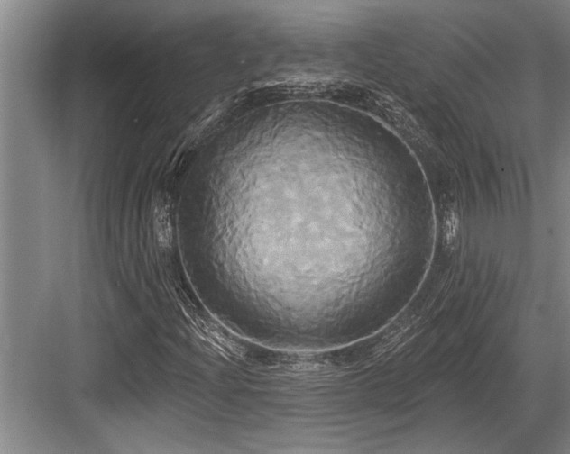 X0000084021204200702161219