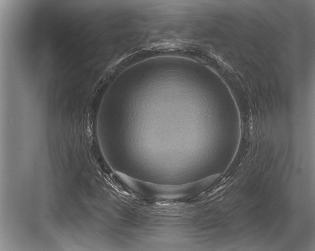 X0000084021206200702161219