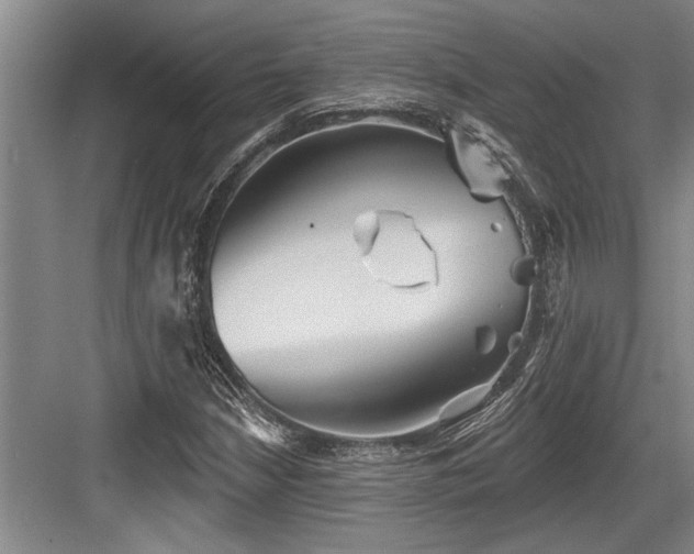 X0000084021210200702161219
