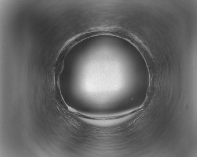 X0000084021214200702161219