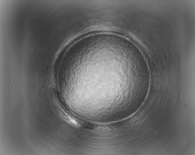 X0000084021215200702161219