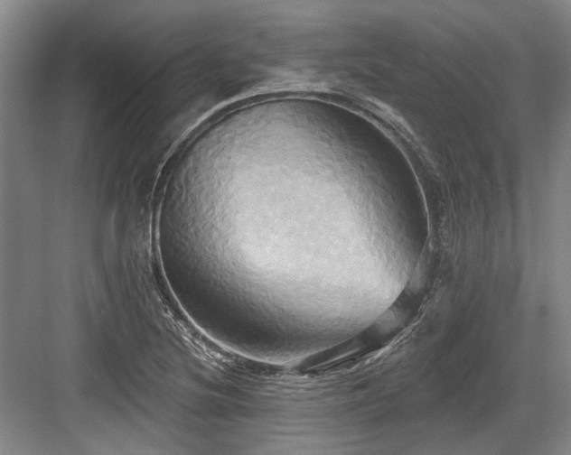 X0000084021220200702161219