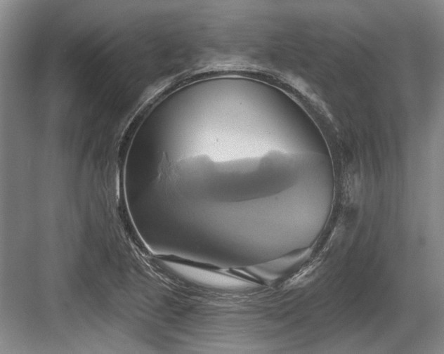 X0000084021221200702161219