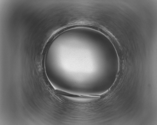 X0000084021222200702161219