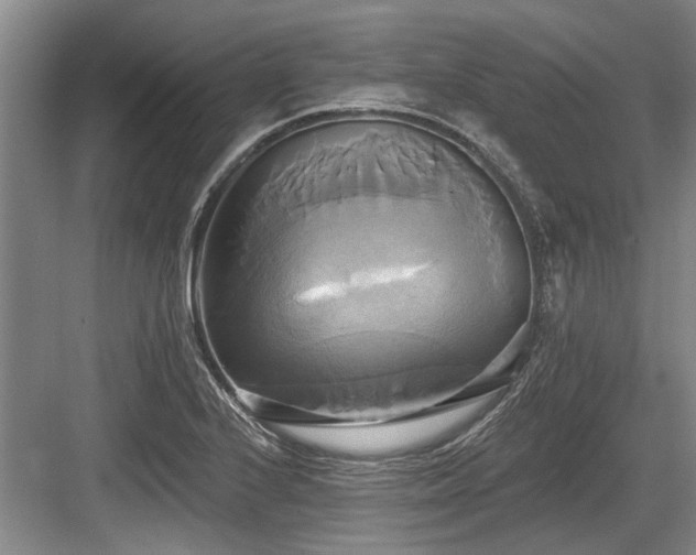 X0000084021224200702161219