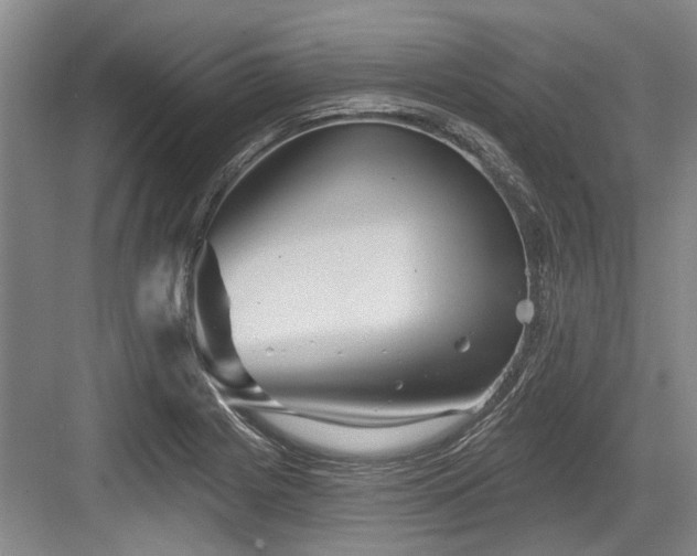X0000084021225200702161219