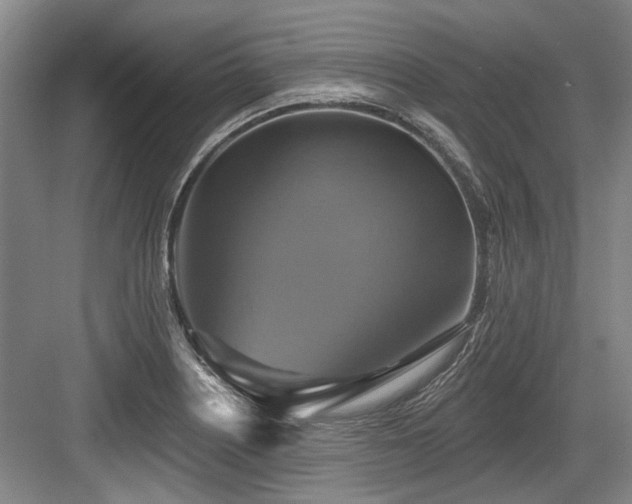 X0000084021226200702161219
