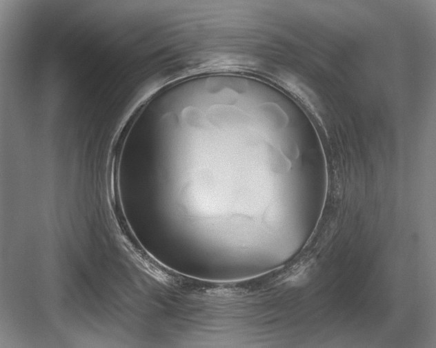 X0000084021227200702161219