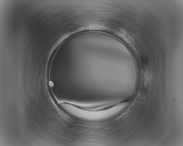 X0000084021229200702161219