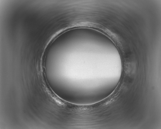 X0000084021230200702161219