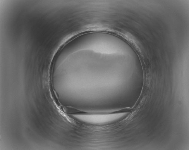 X0000084021231200702161219