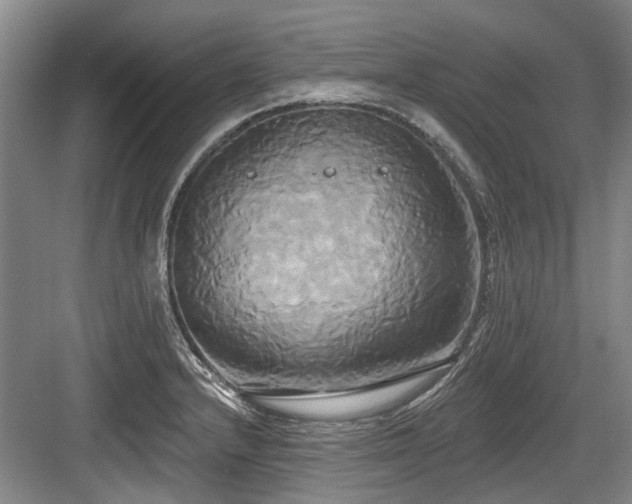 X0000084021232200702161219