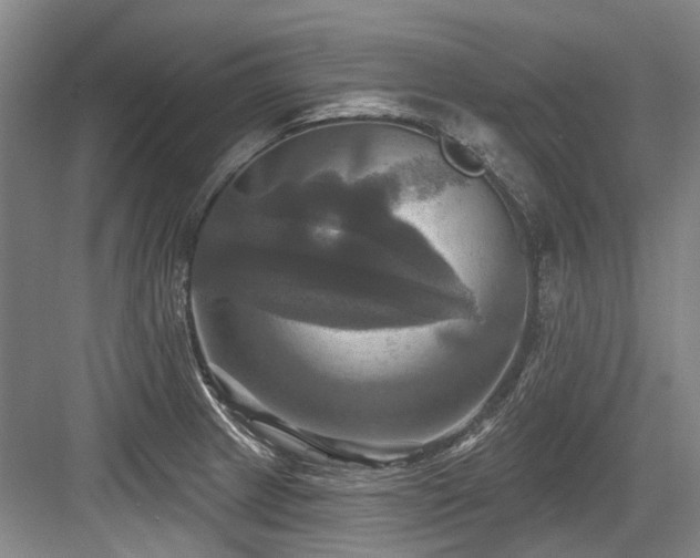X0000084021233200702161219