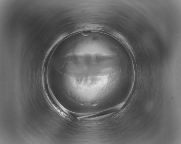 X0000084021235200702161219
