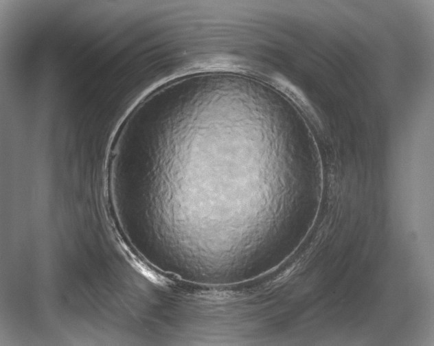 X0000084021236200702161219