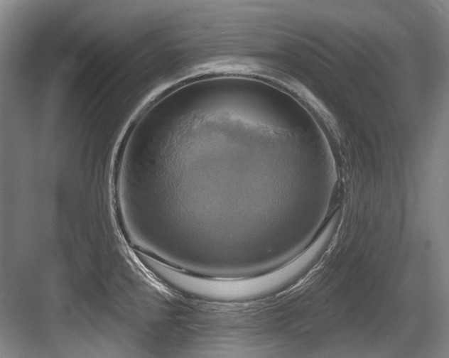 X0000084021240200702161219