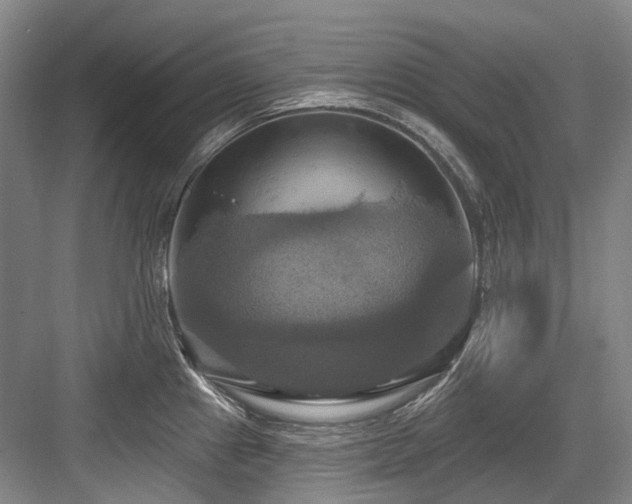 X0000084021241200702161219