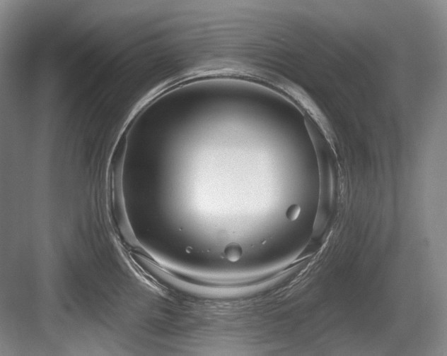 X0000084021242200702161219