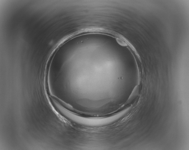 X0000084021245200702161219