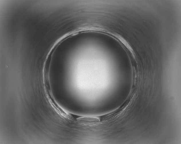 X0000084021246200702161219