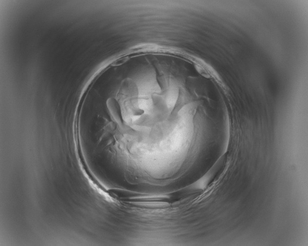 X0000084021247200702161219