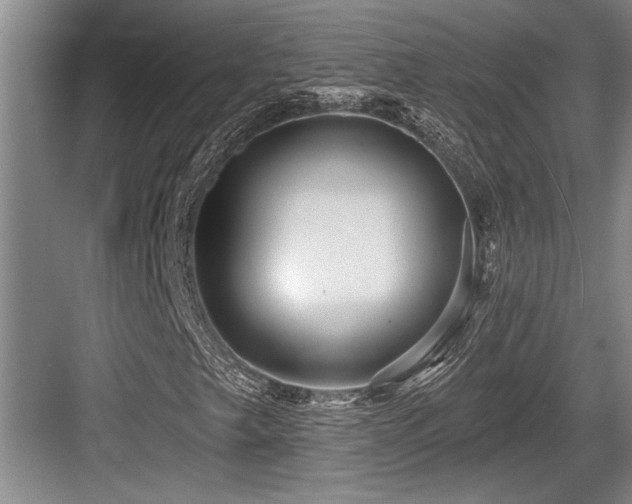 X0000084021249200702161218