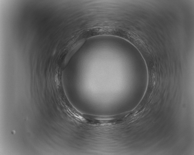 X0000084021250200702161218