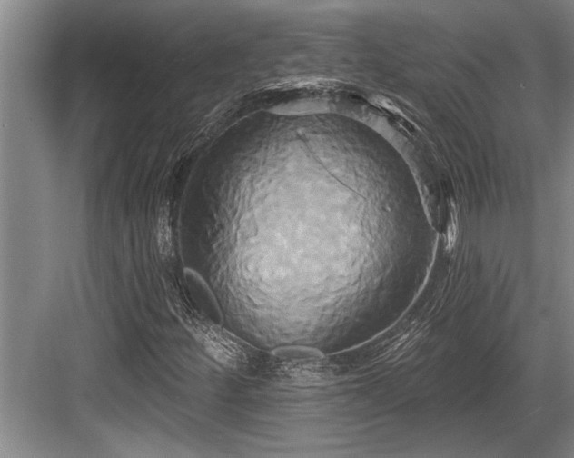 X0000084021252200702161218
