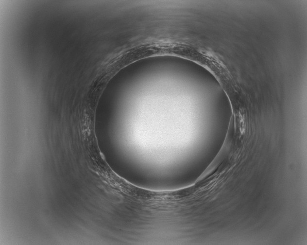 X0000084021253200702161218
