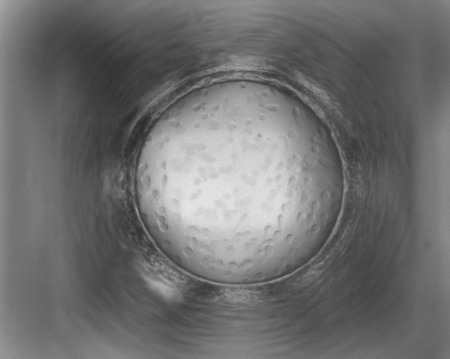 X0000084021258200702161218