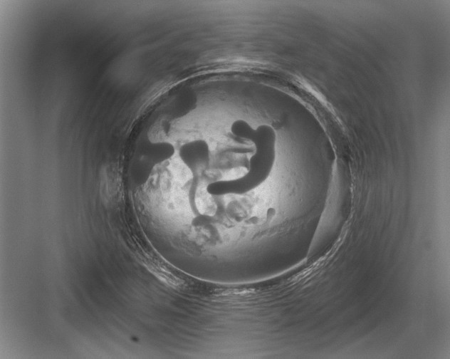 X0000084021259200702161218