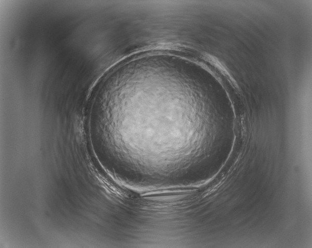 X0000084021260200702161218