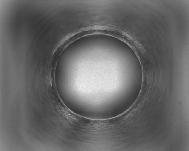 X0000084021262200702161218