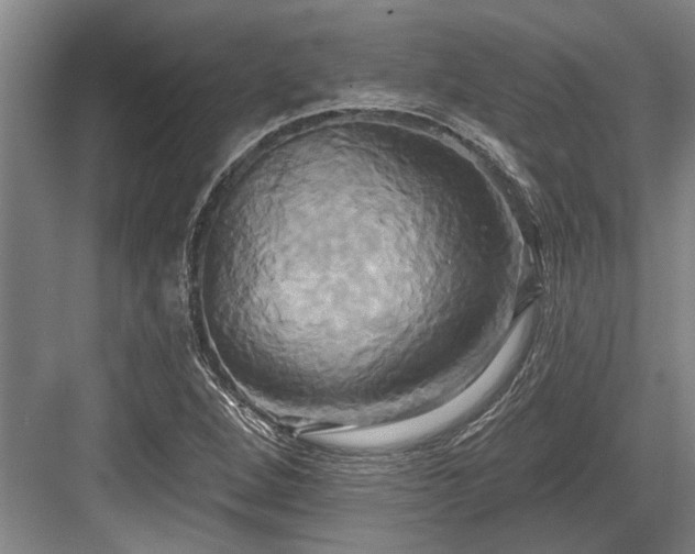 X0000084021264200702161218