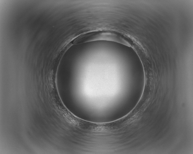 X0000084021265200702161218