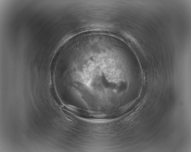 X0000084021267200702161218