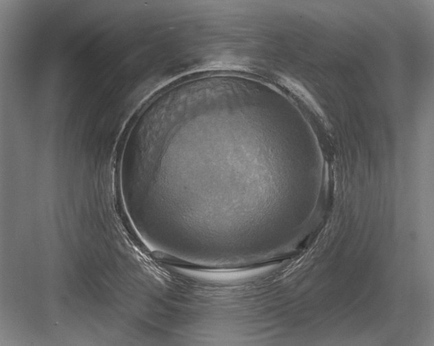 X0000084021268200702161218