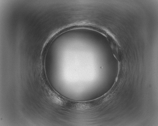 X0000084021270200702161218