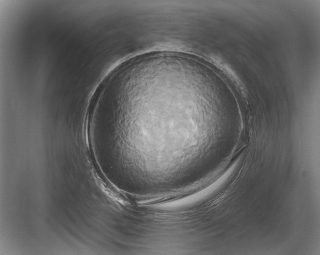 X0000084021272200702161218